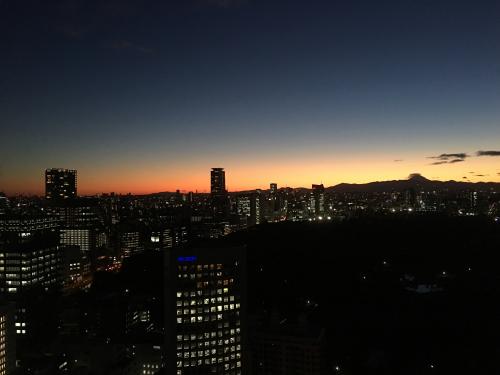 コラムNo.135